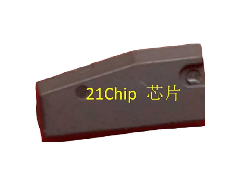 21 Chip